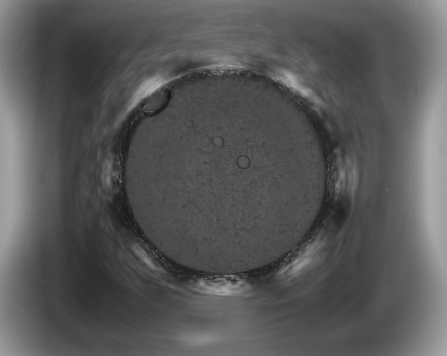 X0000087521255200704271134