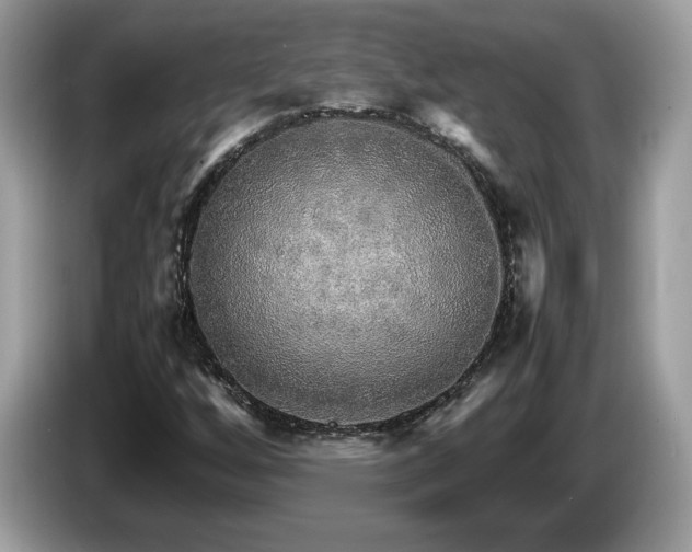 X0000087521256200704271134