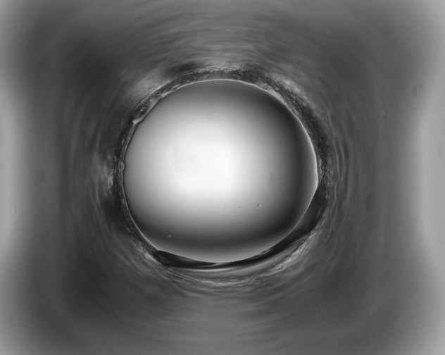 X0000087521257200704271134