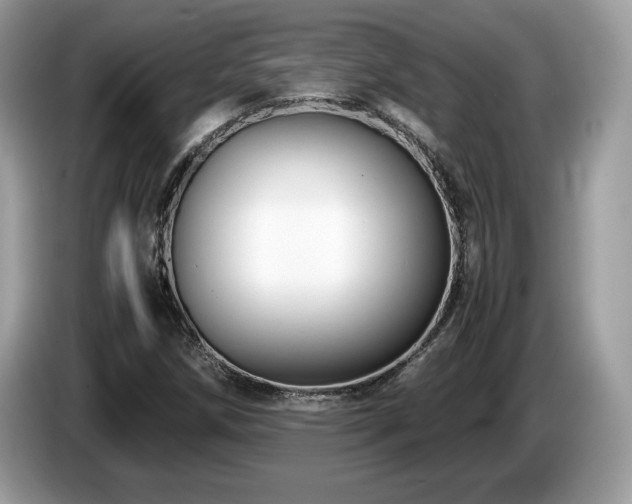 X0000087521258200704271134