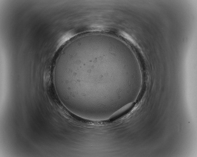 X0000087521259200704271134