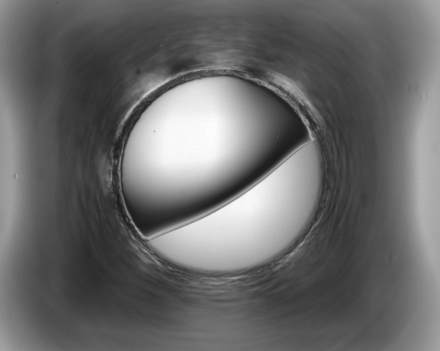 X0000087521260200704271134