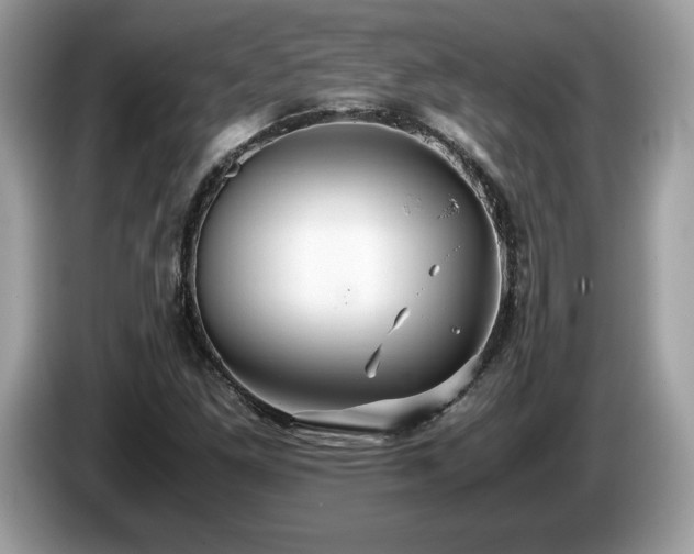 X0000087521261200704271134