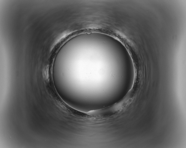 X0000087521262200704271134