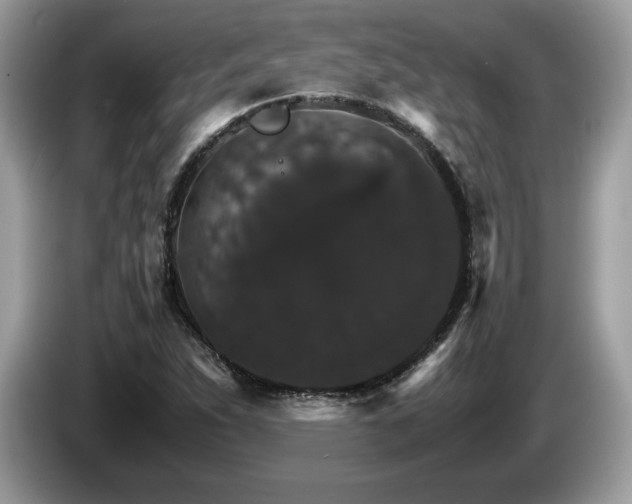 X0000087521263200704271134