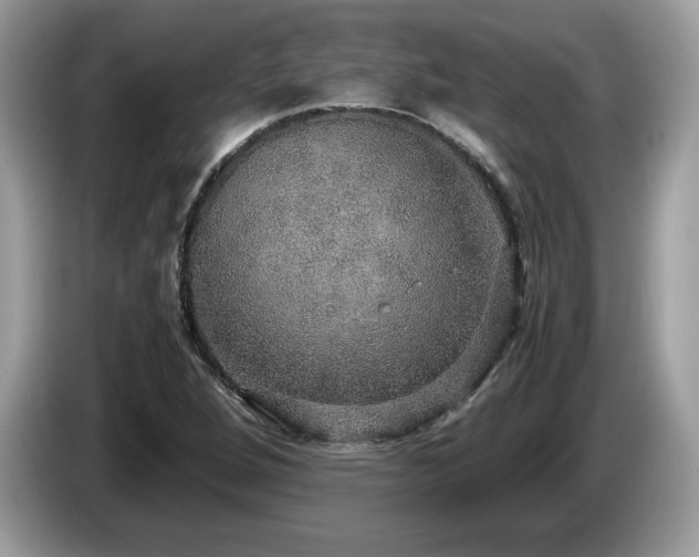 X0000087521264200704271134