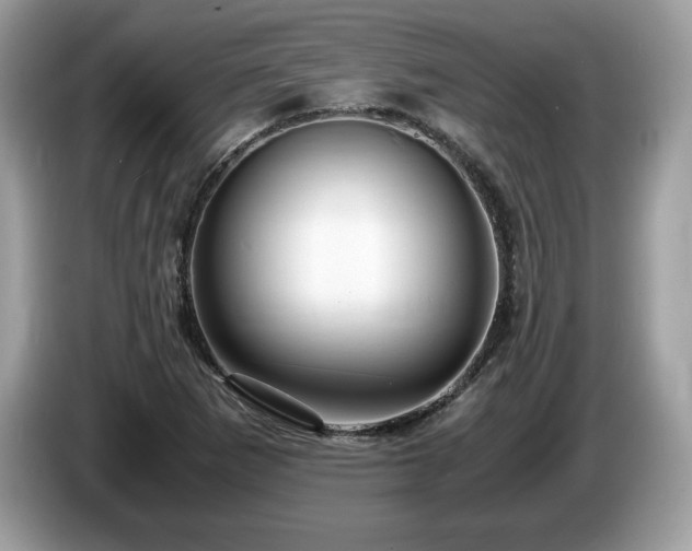 X0000087521265200704271134