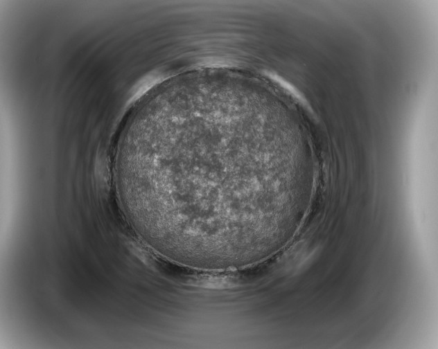 X0000087521266200704271134