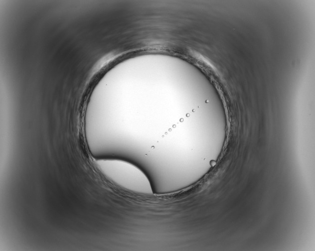 X0000087521267200704271134