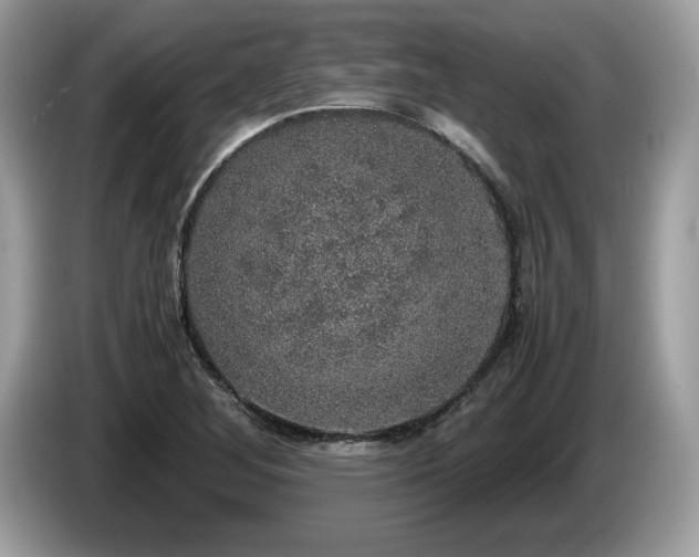 X0000087521268200704271134