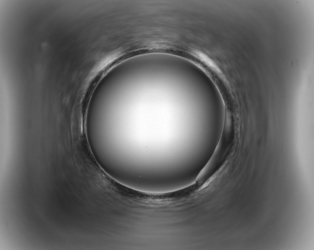X0000087521269200704271134