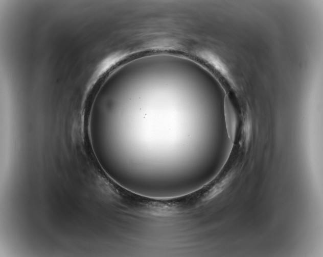 X0000087521270200704271134