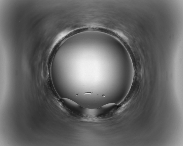 X0000087521271200704271134
