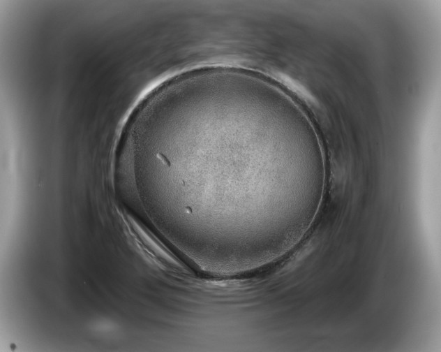 X0000087521272200704271134