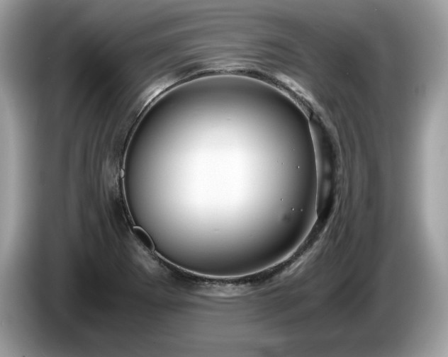 X0000087521273200704271134