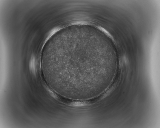 X0000087521274200704271134