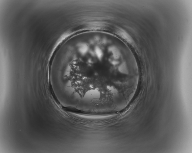 X0000087521275200704271134