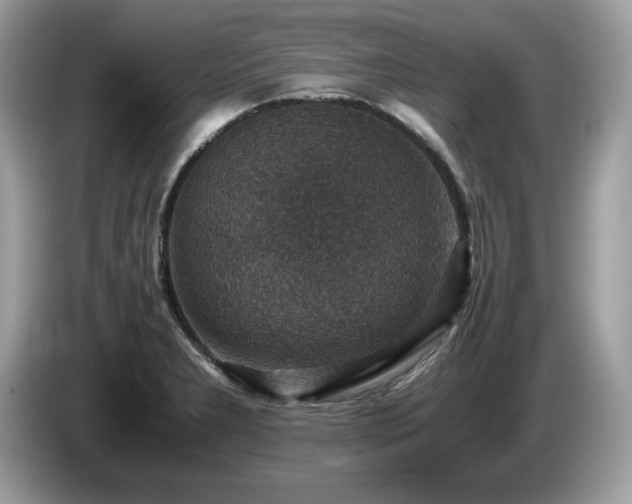 X0000087521277200704271134