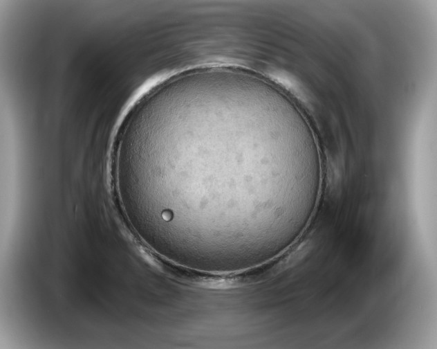 X0000087521278200704271134