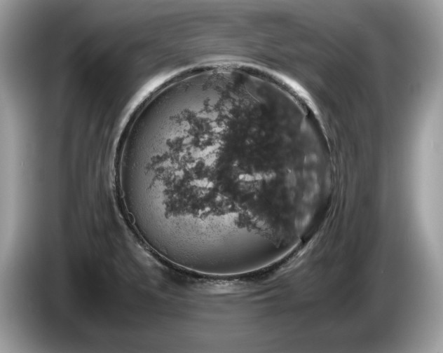 X0000087521279200704271134