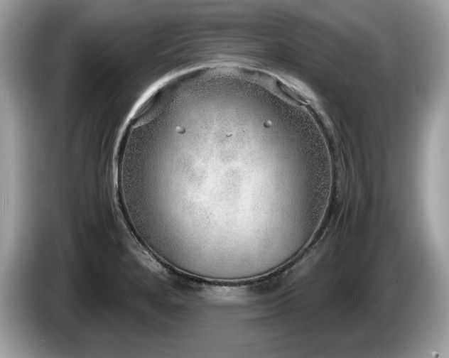 X0000087521280200704271134