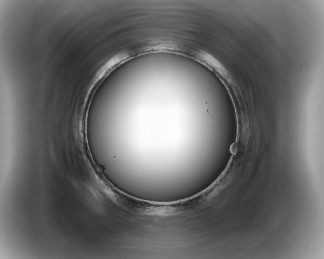 X0000087521282200704271134
