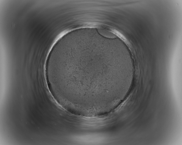 X0000087521283200704271134