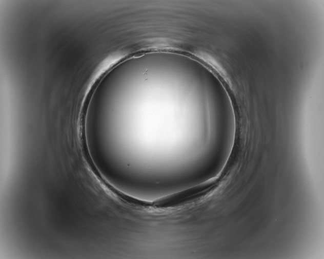 X0000087521285200704271134