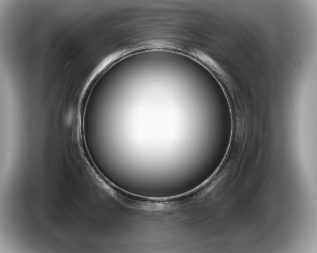 X0000087521286200704271134
