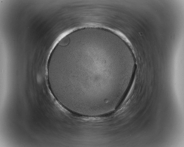 X0000087521287200704271134