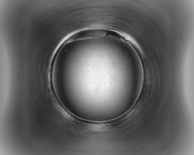X0000087521288200704271134