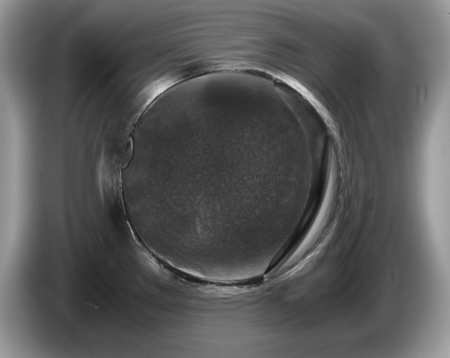 X0000087521289200704271134