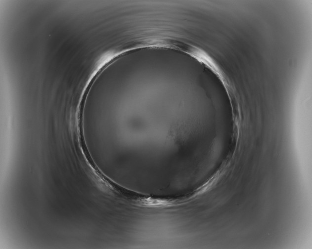 X0000087521291200704271134