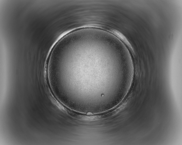 X0000087521292200704271134