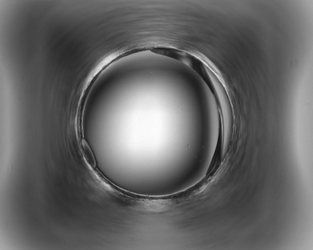 X0000087521293200704271134