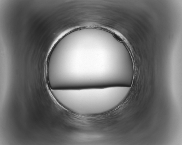 X0000087521295200704271134