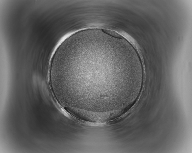 X0000087521296200704271134