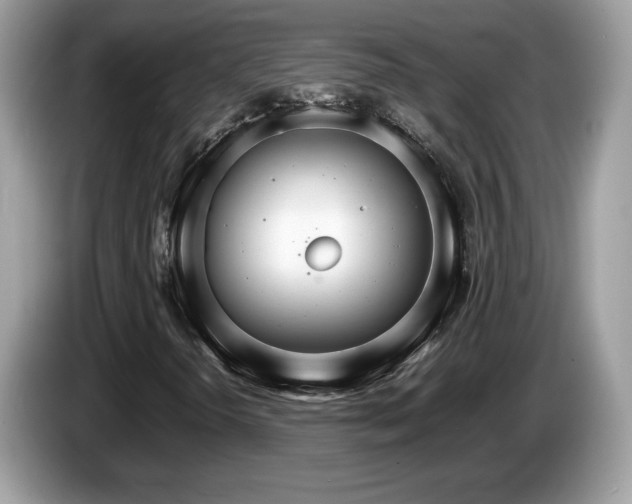X0000087521298200704271133