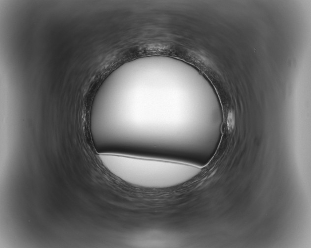 X0000087521299200704271133