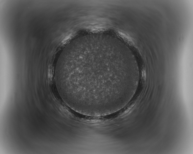 X0000087521300200704271133