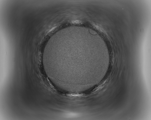 X0000087521301200704271133