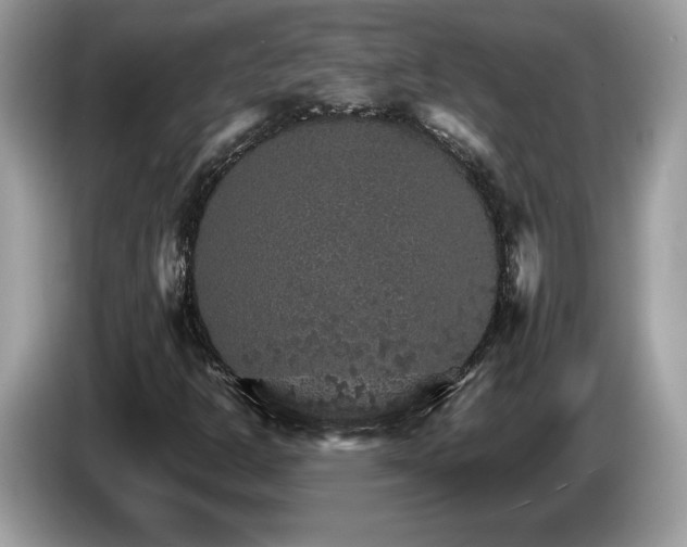 X0000087521302200704271133