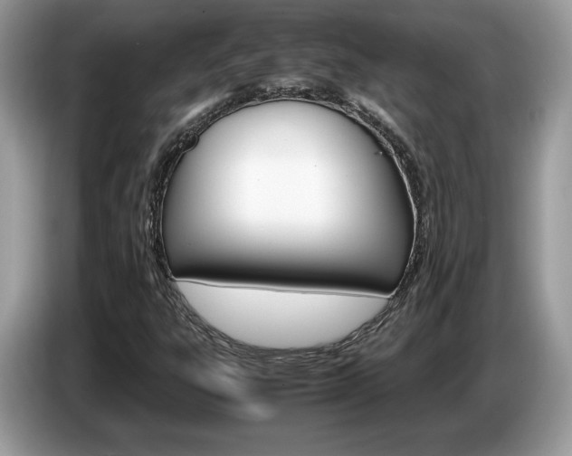 X0000087521303200704271133