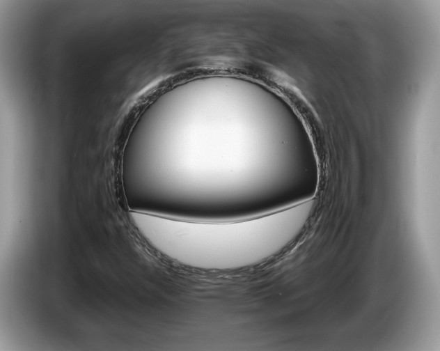X0000087521304200704271133