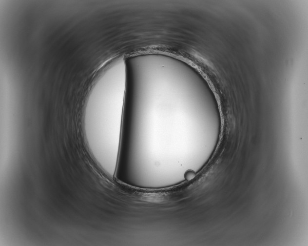 X0000087521305200704271133