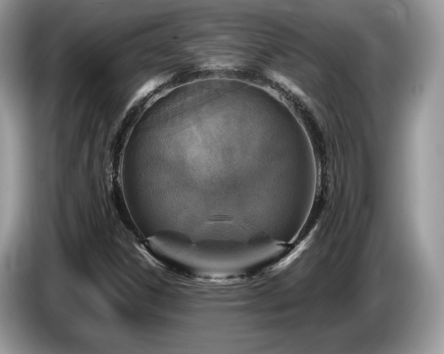 X0000087521306200704271133