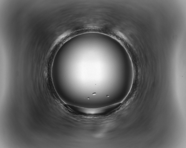 X0000087521307200704271133