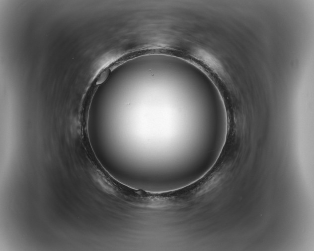 X0000087521308200704271133