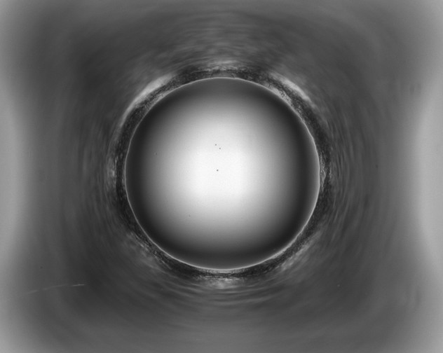 X0000087521309200704271133