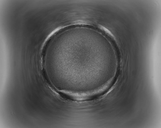 X0000087521310200704271133